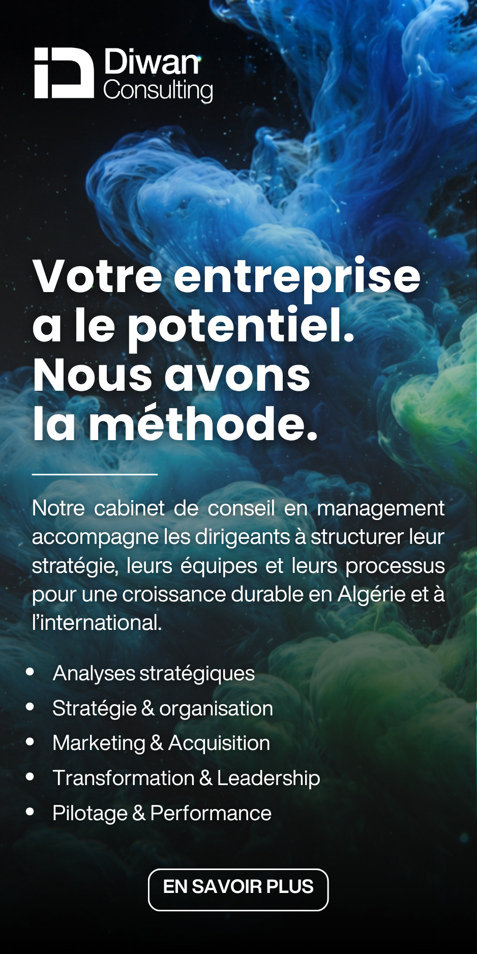 Diwan Consulting Cabinet de conseil en Management