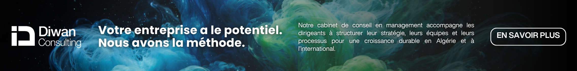 Diwan Consulting Cabinet de conseil en management Algérie