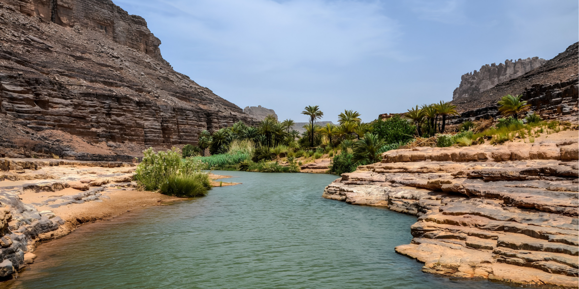 Le tourisme saharien à Illizi a attiré près de 20 000 visiteurs pendant la saison 2025-2026.