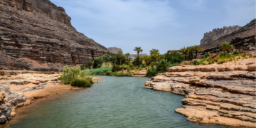 Le tourisme saharien à Illizi a attiré près de 20 000 visiteurs pendant la saison 2025-2026.