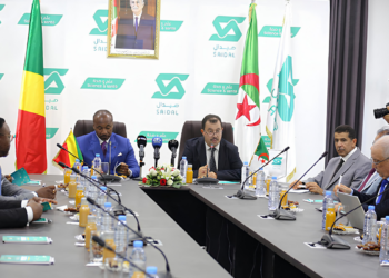 cooperation-economique-algerie-congo.jpg