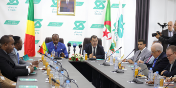 cooperation-economique-algerie-congo.jpg