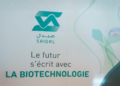 Younes Bouarara nommé deuxième directeur général de Saidal