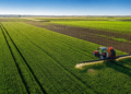 Agriculture en Algérie avec des entreprises italiennes en mission économique