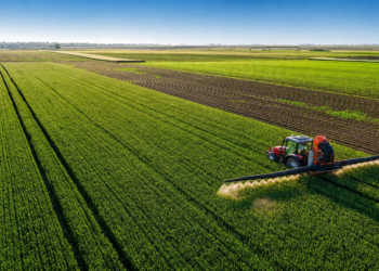 Agriculture en Algérie avec des entreprises italiennes en mission économique