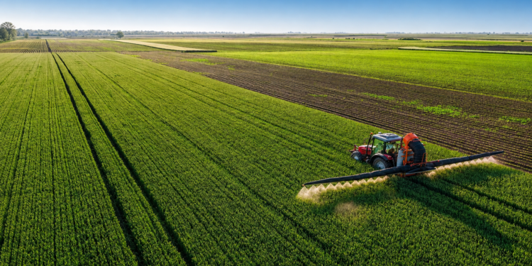 Agriculture en Algérie avec des entreprises italiennes en mission économique