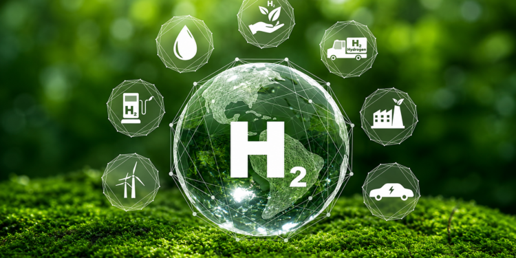 Hydrogène vert en Algérie avec une mission économique d’entreprises allemandes