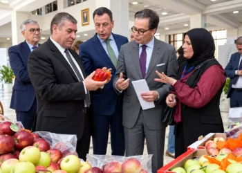 Programme pour développer l’agriculture biologique en Algérie