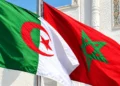Dattes algériennes présentées pour la vente, illustration des échanges commerciaux Algérie Maroc en 2025