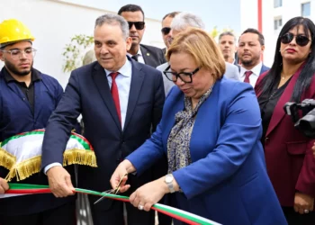 Formation automobile à Oran et développement des compétences industrielles autour de l'usine Fiat de Tafraoui